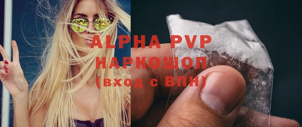 индика Алексин