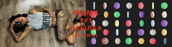 индика Алексин