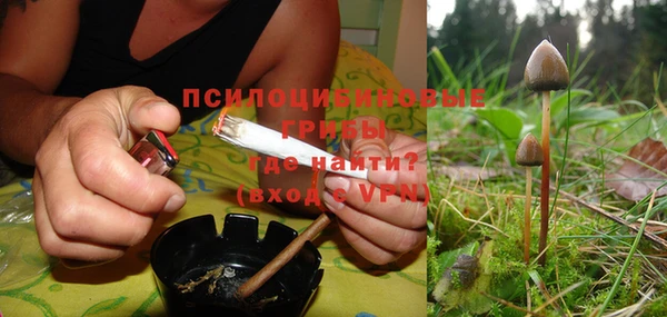 индика Алексин