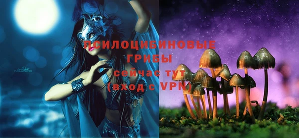 сатива Алексеевка