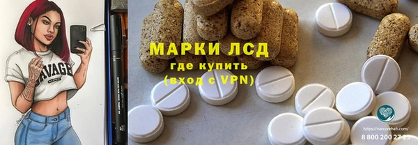 индика Алексин
