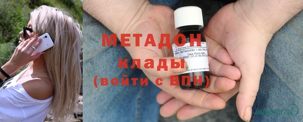 индика Алексин