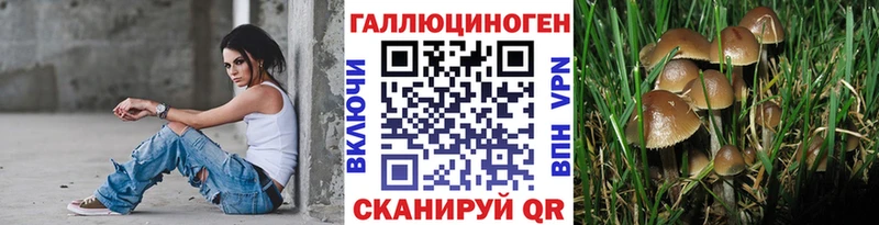 Псилоцибиновые грибы Psilocybe кракен зеркало Кочубеевское купить закладку